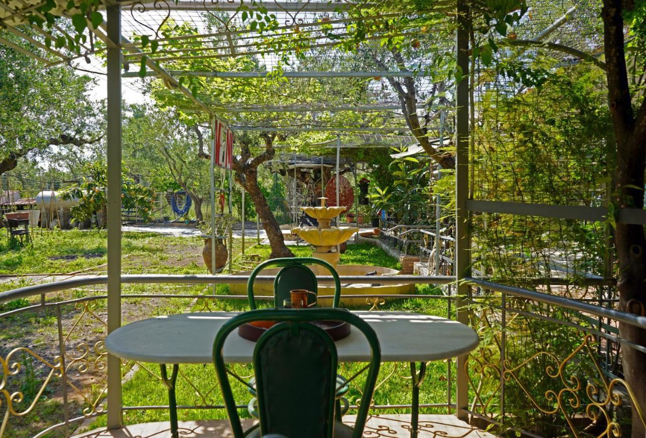 Вилла Veni Olive House Каламата Экстерьер фото