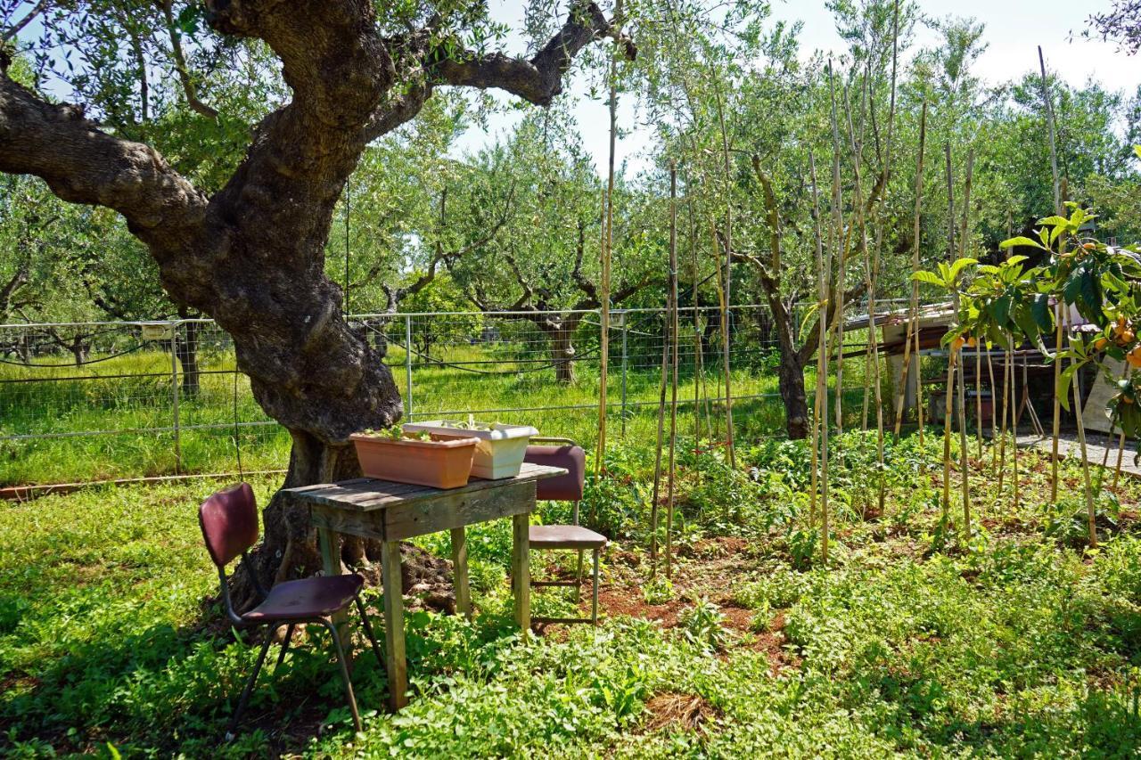 Вилла Veni Olive House Каламата Экстерьер фото