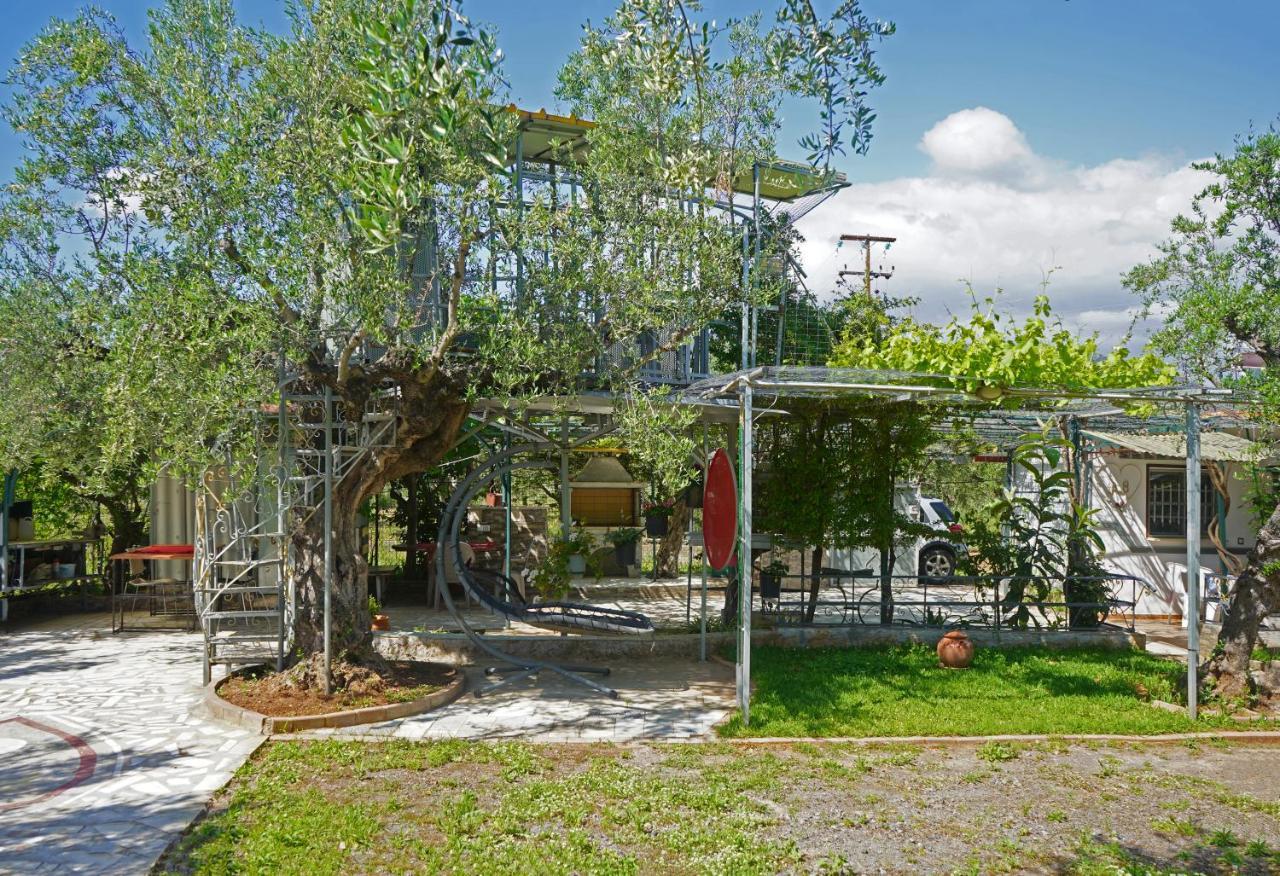 Вилла Veni Olive House Каламата Экстерьер фото