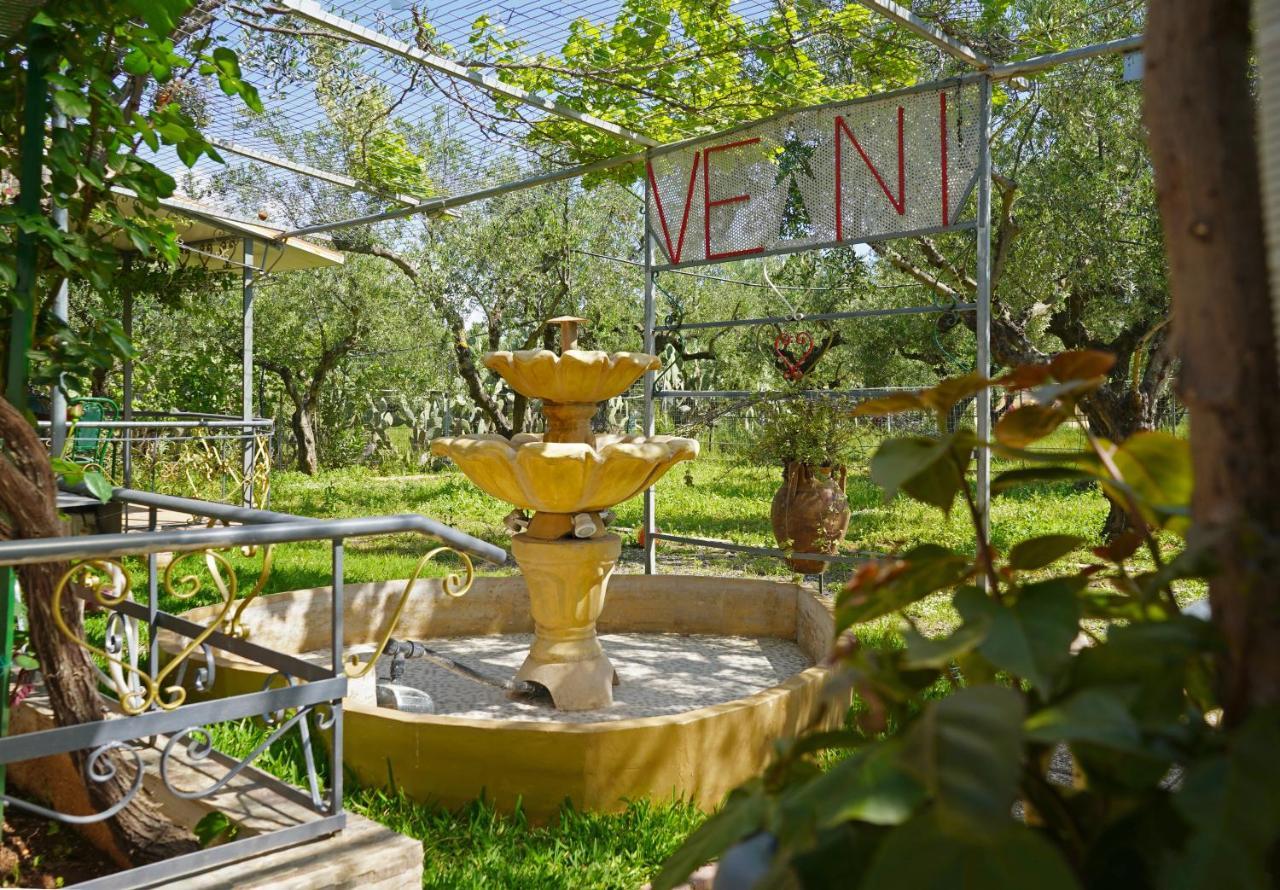Вилла Veni Olive House Каламата Экстерьер фото