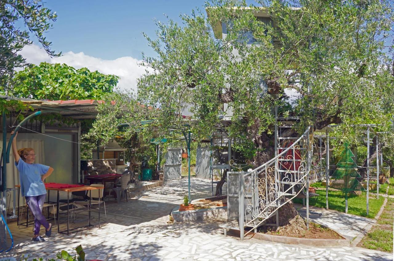 Вилла Veni Olive House Каламата Экстерьер фото