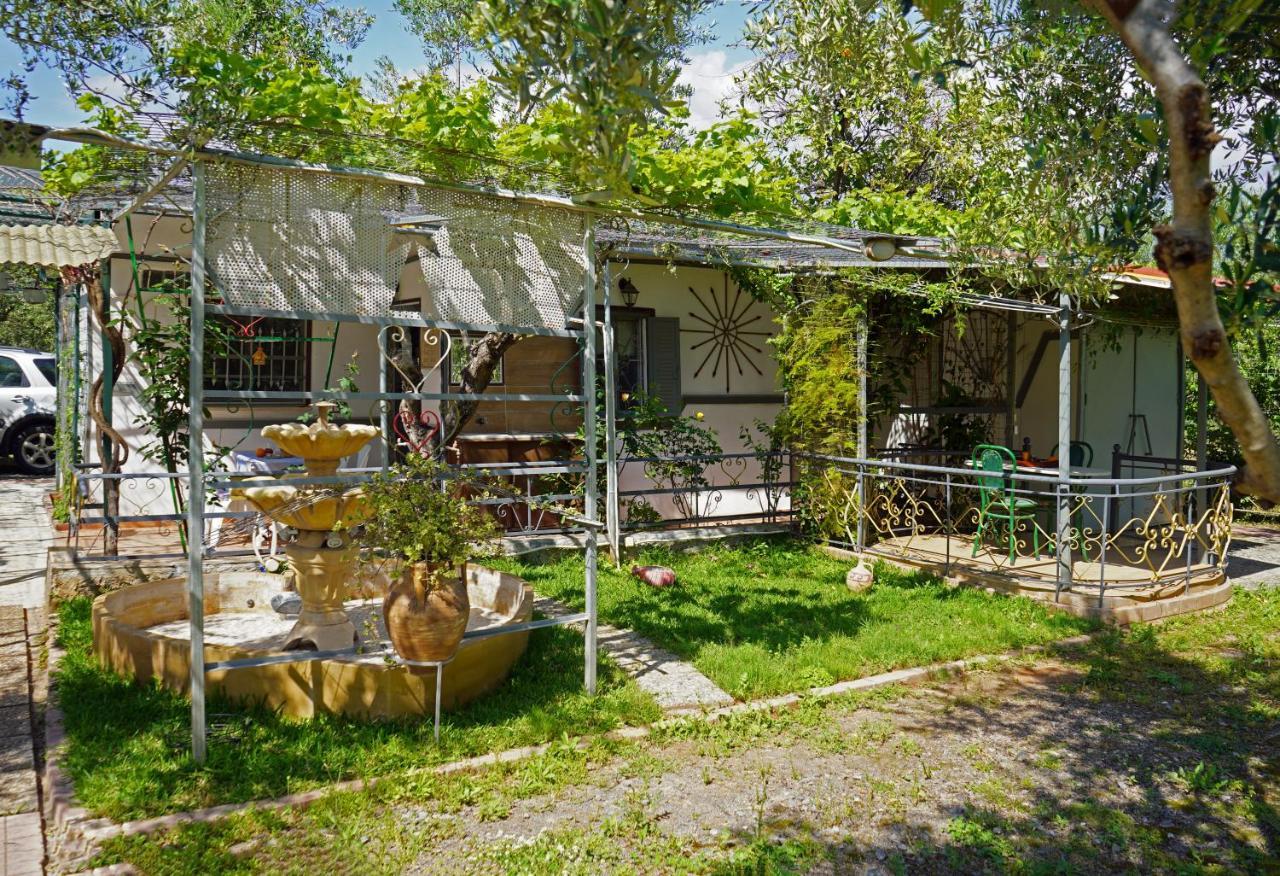 Вилла Veni Olive House Каламата Экстерьер фото