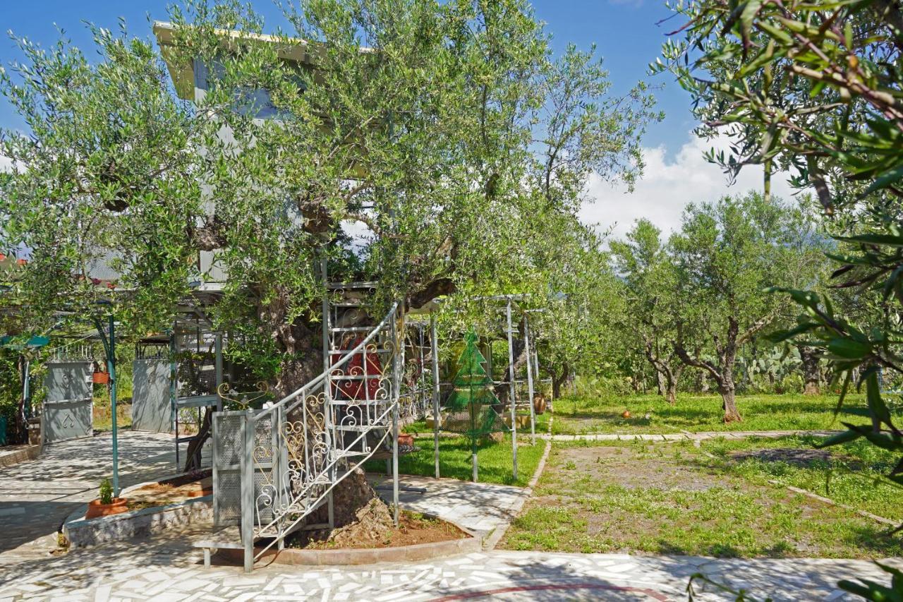 Вилла Veni Olive House Каламата Экстерьер фото