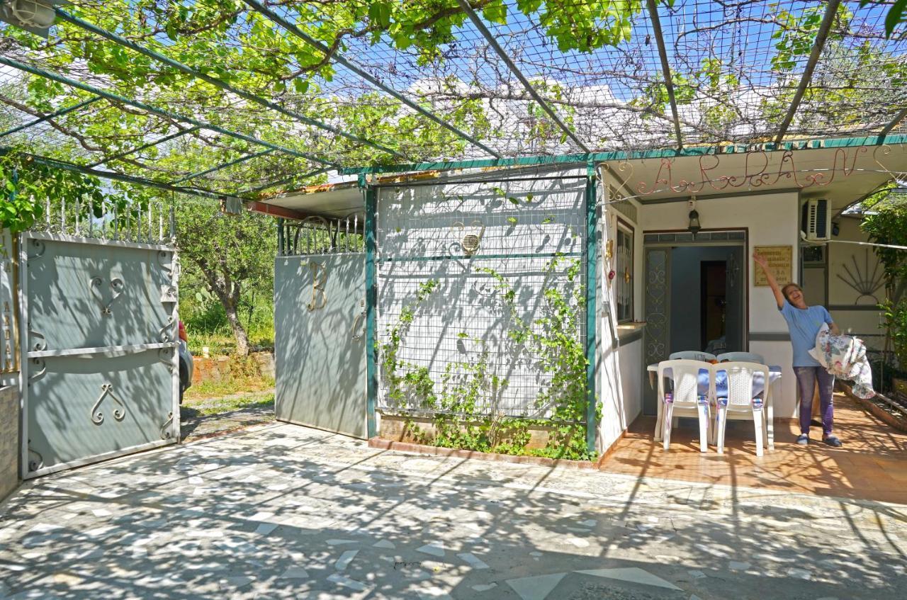 Вилла Veni Olive House Каламата Экстерьер фото