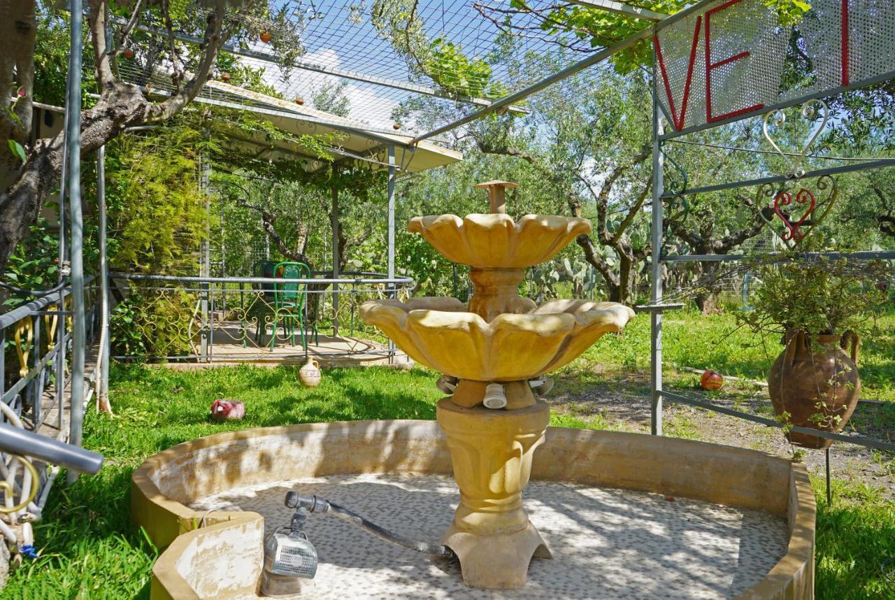 Вилла Veni Olive House Каламата Экстерьер фото